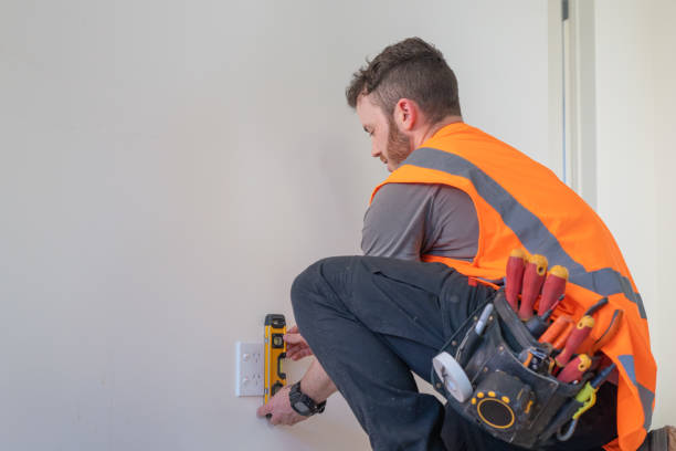 Best Electric Panel Repair  in Westvle, IL